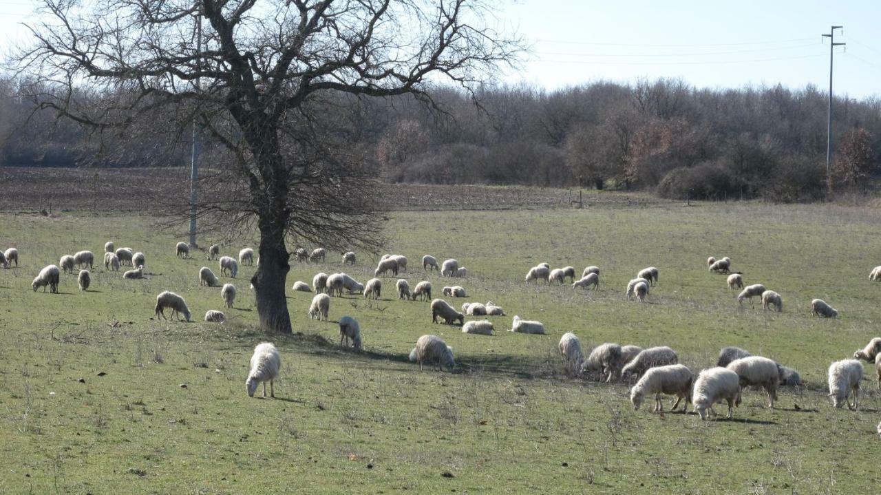 Agriturismo La Ghiga Nepi Eksteriør bilde